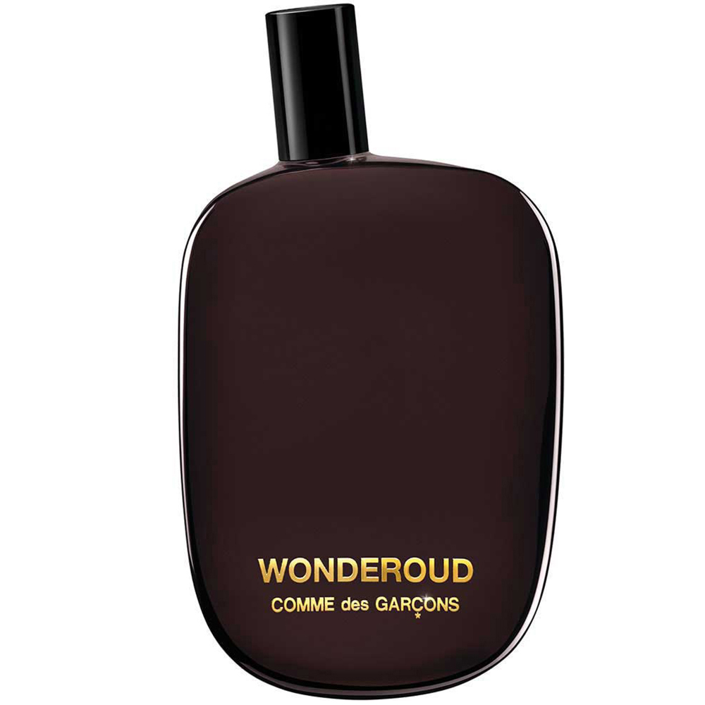 Fabiani Men's Comme des Garçons Wonderoud 80ml